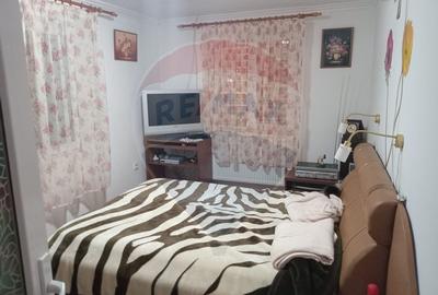 OCAZIE!!! CASA SUPERBA cu teren in JULITA jud Arad in M tii Zarandului - 13