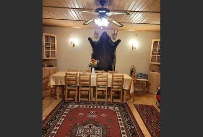 Proprietate Unică în Inima Naturii - Galaoaia, Mureș - 8