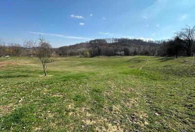 Teren de 8131 mp, în Curăturile - 6