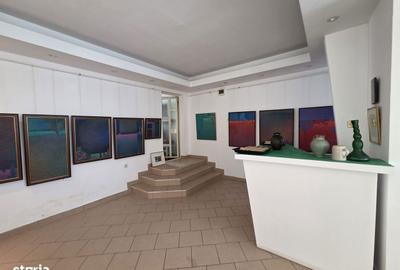 Casă cu 10 camere cu Teren 1293 Mp în Craiovei - 2