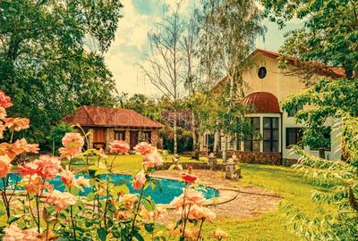 Casa superba cu vedere la lac in Izvorani – piscina, natura,si potential imens! - 2