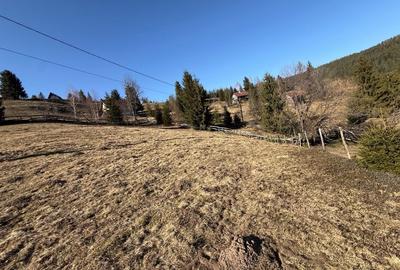 Teren Construcții intravilan de 12500 mp, în Galbena - 6