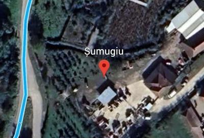 Teren intravilan Sumugiu - 3