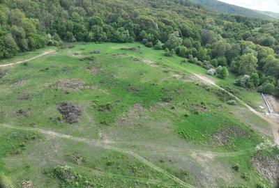 Teren Construcții intravilan de 10428 mp, în Sud - 8