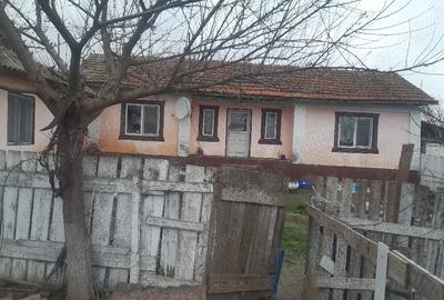 Casă în Grădina - 5