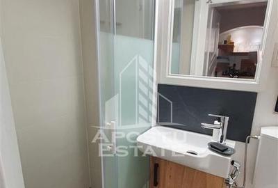 Apartament tip Studio in zona parcului Regina Maria - 6