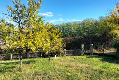 Cămin sau refugiu ? Alegerea îți aparține Cămin sau refugiu ? Alegerea îți aparține - 3