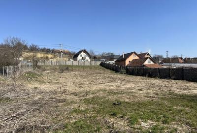 Spațiu comercial, în Săndulești - 6