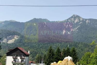 Casă cu 5 camere cu Teren 251 Mp în Zamora - 15