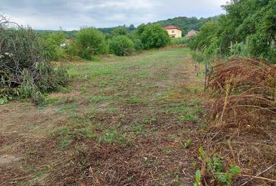 Casă cu 4 camere în Bucșani - 5