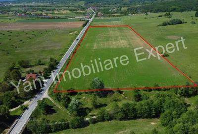 Teren de 69700 mp, în Tigveni - 5