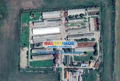 Ferma zootehnicaFunctionala zona Tomsani - 1