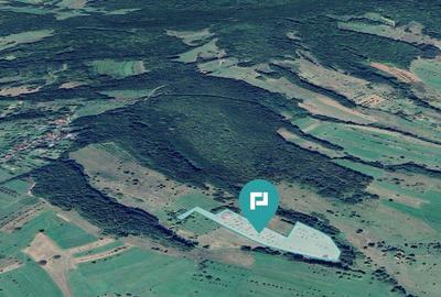 Teren de 92294 in Halmagiu - 3