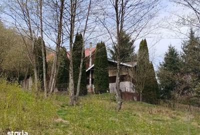 Casă cu 5 camere cu Teren 1600 Mp în Central - 2