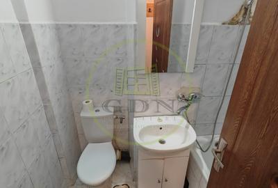 Garsonieră semidecomandată, mobilată în Craiovița Nouă - 4