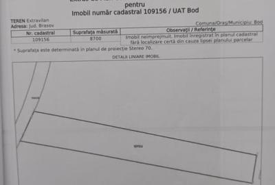 De vanzare teren extravilan BOD SAT - 4