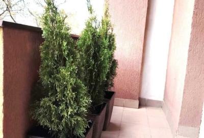 Apartament 1 camera, 40 mp, balcon, FSEGA, IULIUS MALL - 2