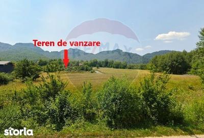 Teren de 4223 mp, în Bran - 20
