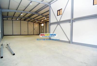 Hala 590 mp Chitila Rudeni- centura - 9