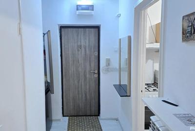 Vand apartament cu 2 camere in Deva, zona Al. Muncii (Piata Centrala), parter, mobilat - 11