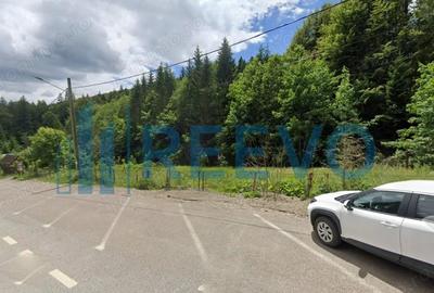 Teren Izvorul Muntelui, Bicaz, la baza traseelor de la Varful Toaca - 1