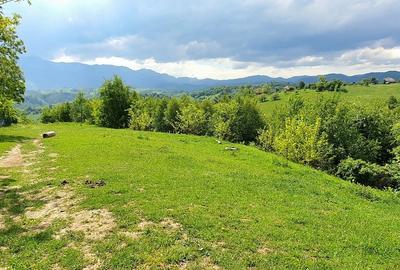 Teren pentru casa de vacanta , Pestera , Brasov - 6