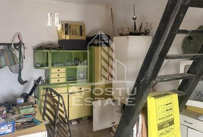 Casă individuală  în Recaș ,teren 1050 mp cu front pe două străzi . - 12