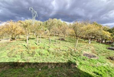 Casa noua P+1E - Baiculesti, Zigoneni, Arges - 10