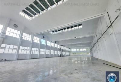 Spațiu industrial, 1700 mp în Exterior Vest