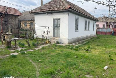 Casă cu 3 camere cu Teren 1387 Mp în Bistreț - 2