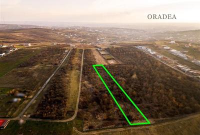 Teren intravilan de 4333 mp, în Săldăbagiu de Munte - 7