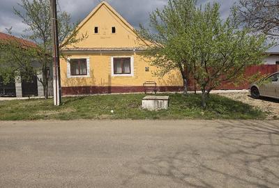 Casă cu Teren 1439 Mp în Ianova - 5