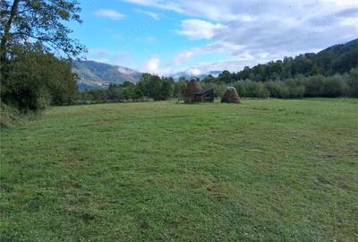 Teren intravilan 6000 mp, Pangarati, cu iesire la raul Bistrita - 1