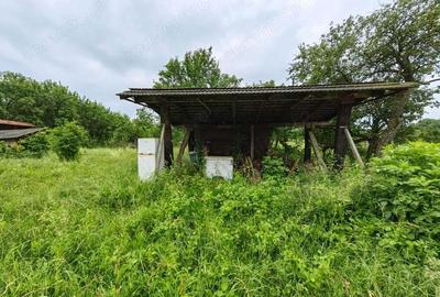 Teren de 18645 mp, în Sântămăria de Piatră - 8