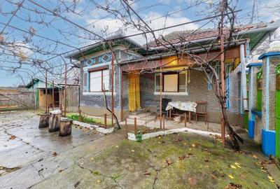 Casa cu anexe si teren de 759mp in Misca - 13