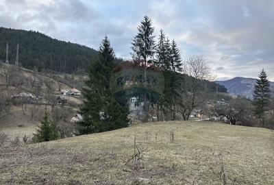 Teren 2,000mp Stejaru (Pangarati) / None - 2