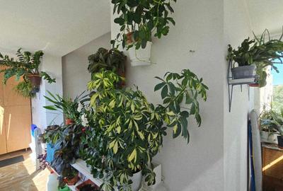 Apartament 2 camere de vanzare Splaiul Crisanei, Decebal - 7