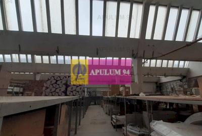 Hala 3600mp zona de Sud a capitalei - 16