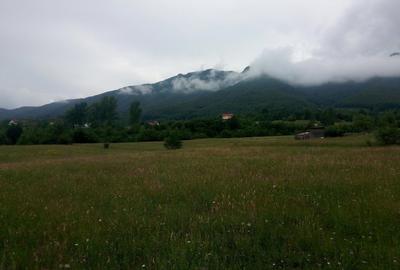 Teren parcelat in suprafata de 1100 mp, in Tohanita acces din soseaua Branului - 6