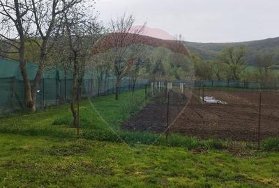 Casa  de vanzare in Dragu  jud. Salaj  teren 1400 mp. - 14