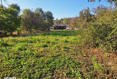Casă cu 3 camere cu Teren 2600 Mp în Gâlgău - 5