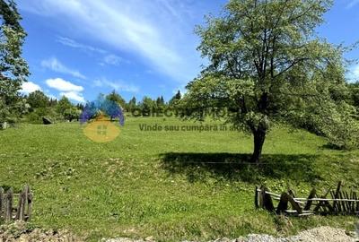 Teren 11557 mp comuna Ceahlau - 12