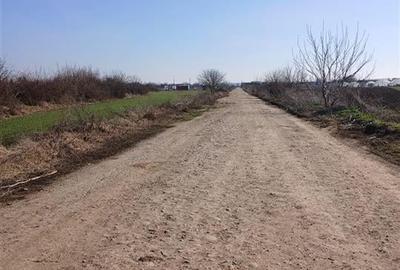 RECO Teren intravilan aproape de zona industriala Biharia - 5