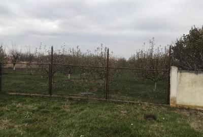 Alios - Teren Intravilan - 1470Mp - 1