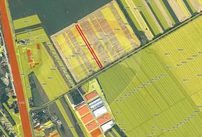 Teren intravilan Buftea, soseaua Tamasi - 3