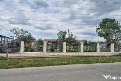 Casă cu 3 camere cu Teren 2918 Mp în Vetiș - 18