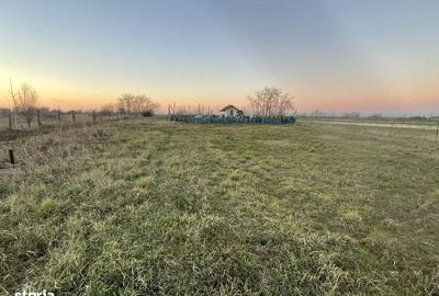 Spațiu comercial, în Sânpaul - 2