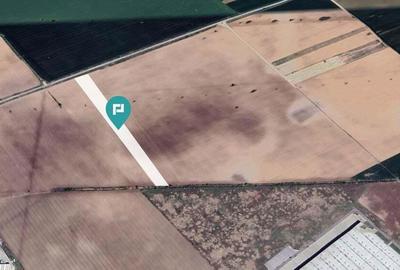 Teren intravilan agricol de vanzare pe A1 la km 23 - 3