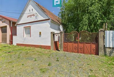Casă cu 2 camere cu Teren 952 Mp în Miniș - 10