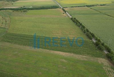 Teren de 4.400 mp Racova - 3